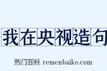 我在央视造句是什么意思的图片